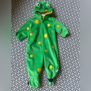 12 month Frog costume